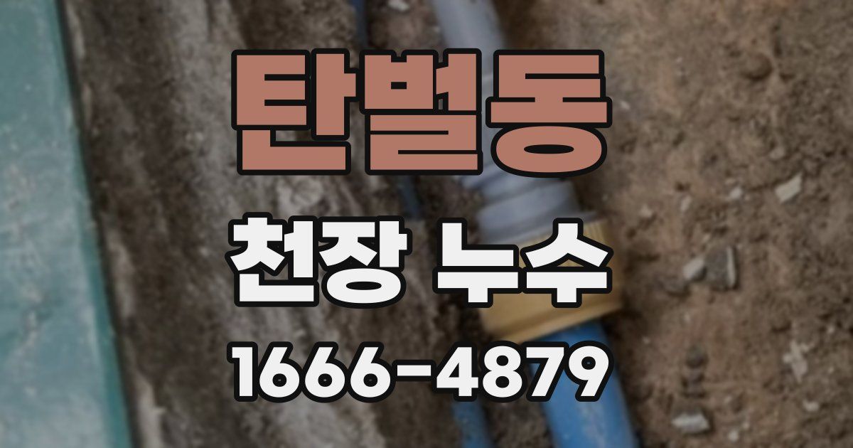 탄벌동 천장 누수