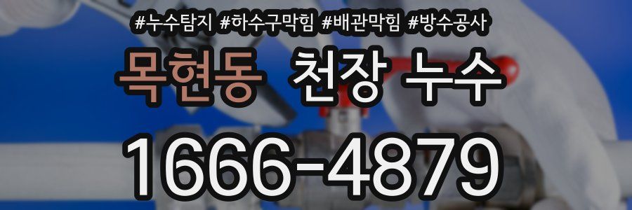 목현동 천장 누수