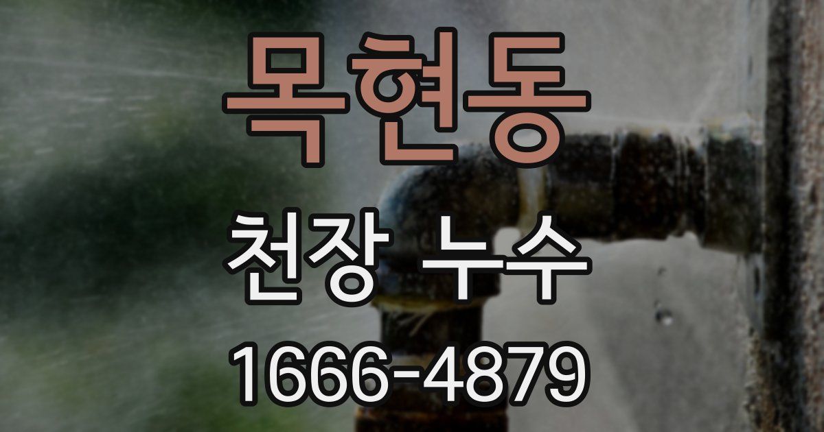 목현동 천장 누수