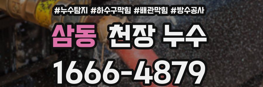 삼동 천장 누수