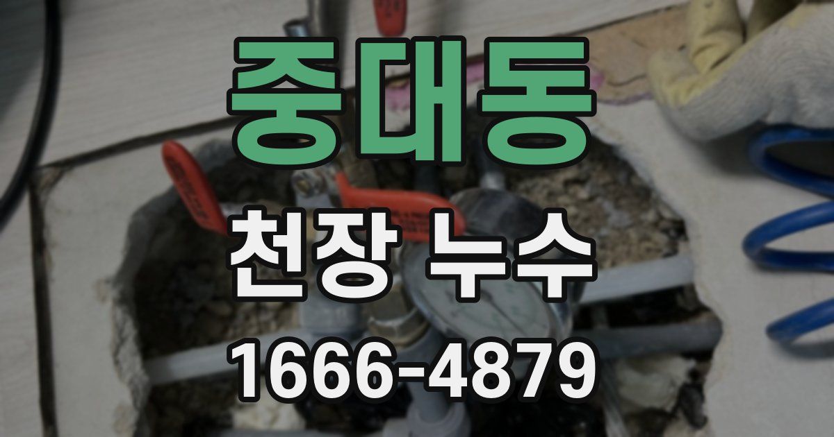 중대동 천장 누수