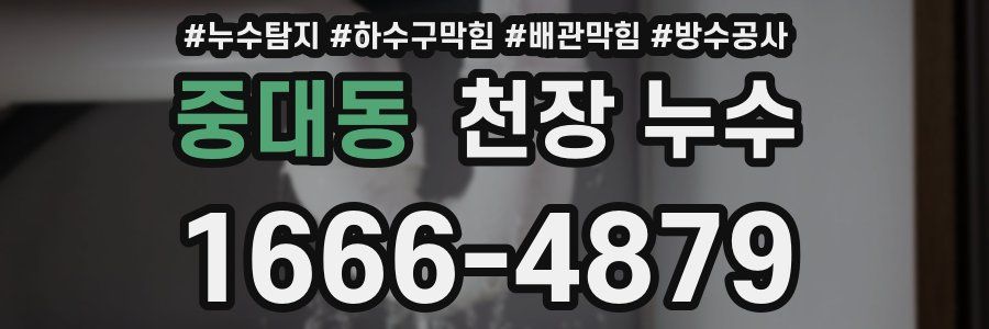 중대동 천장 누수