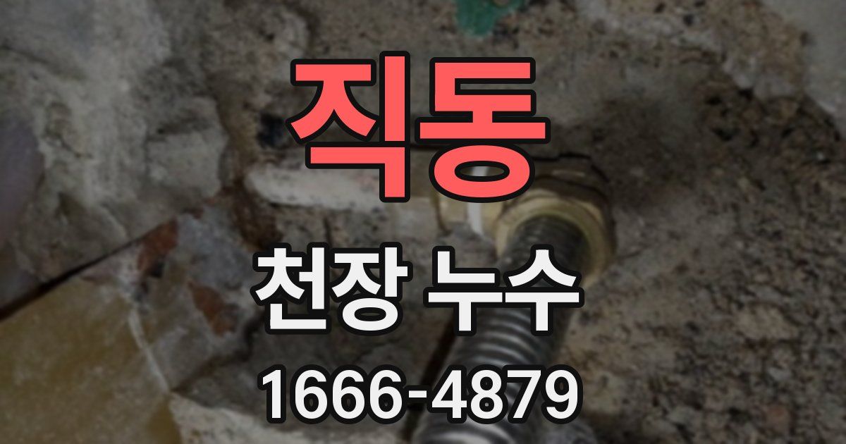직동 천장 누수