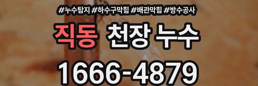 직동 천장 누수