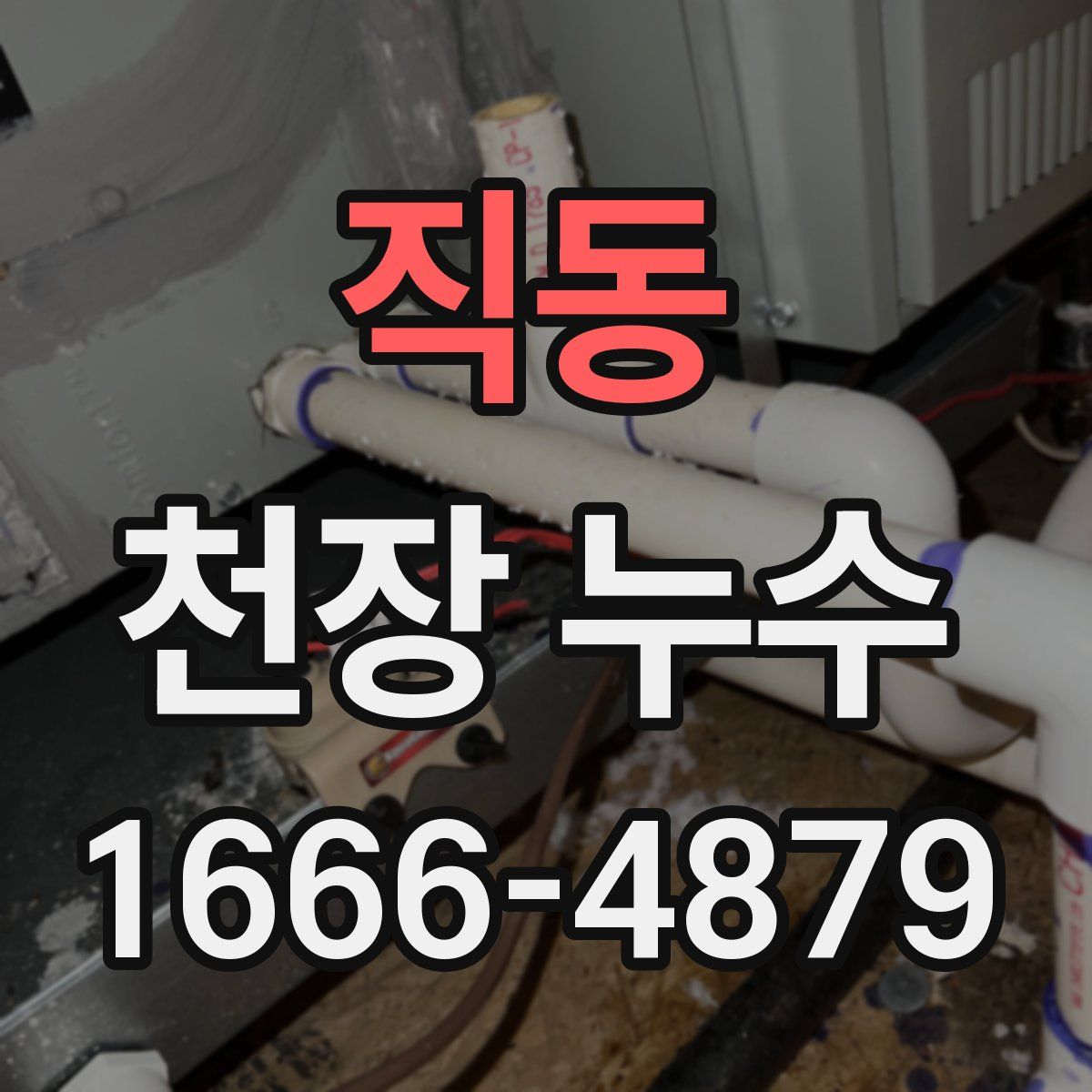 직동 천장 누수