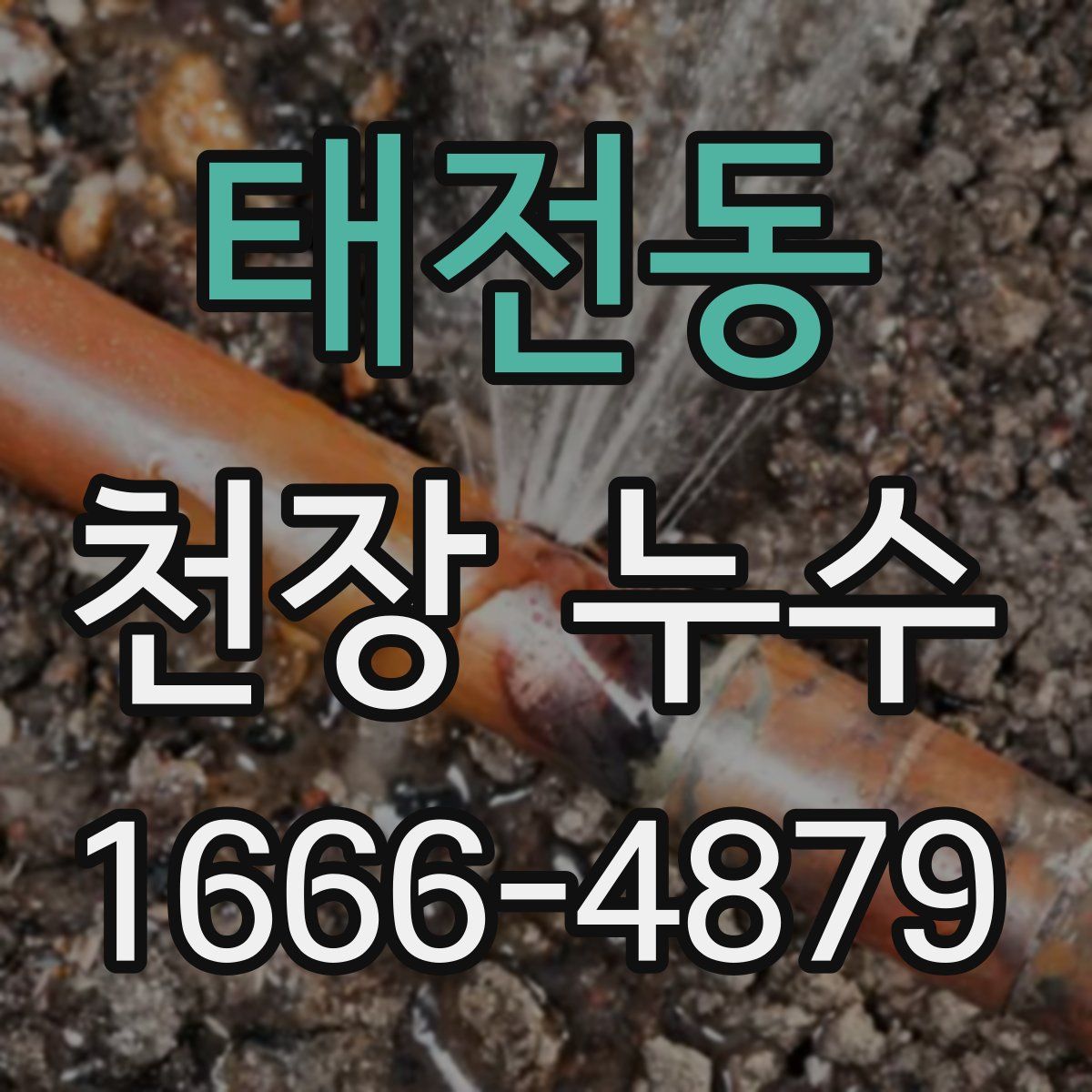 태전동 천장 누수