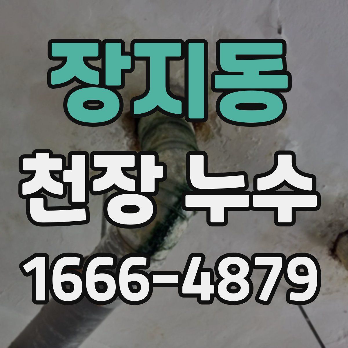 장지동 천장 누수