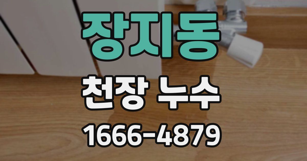 장지동 천장 누수