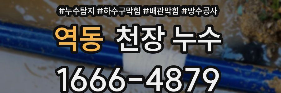 역동 천장 누수