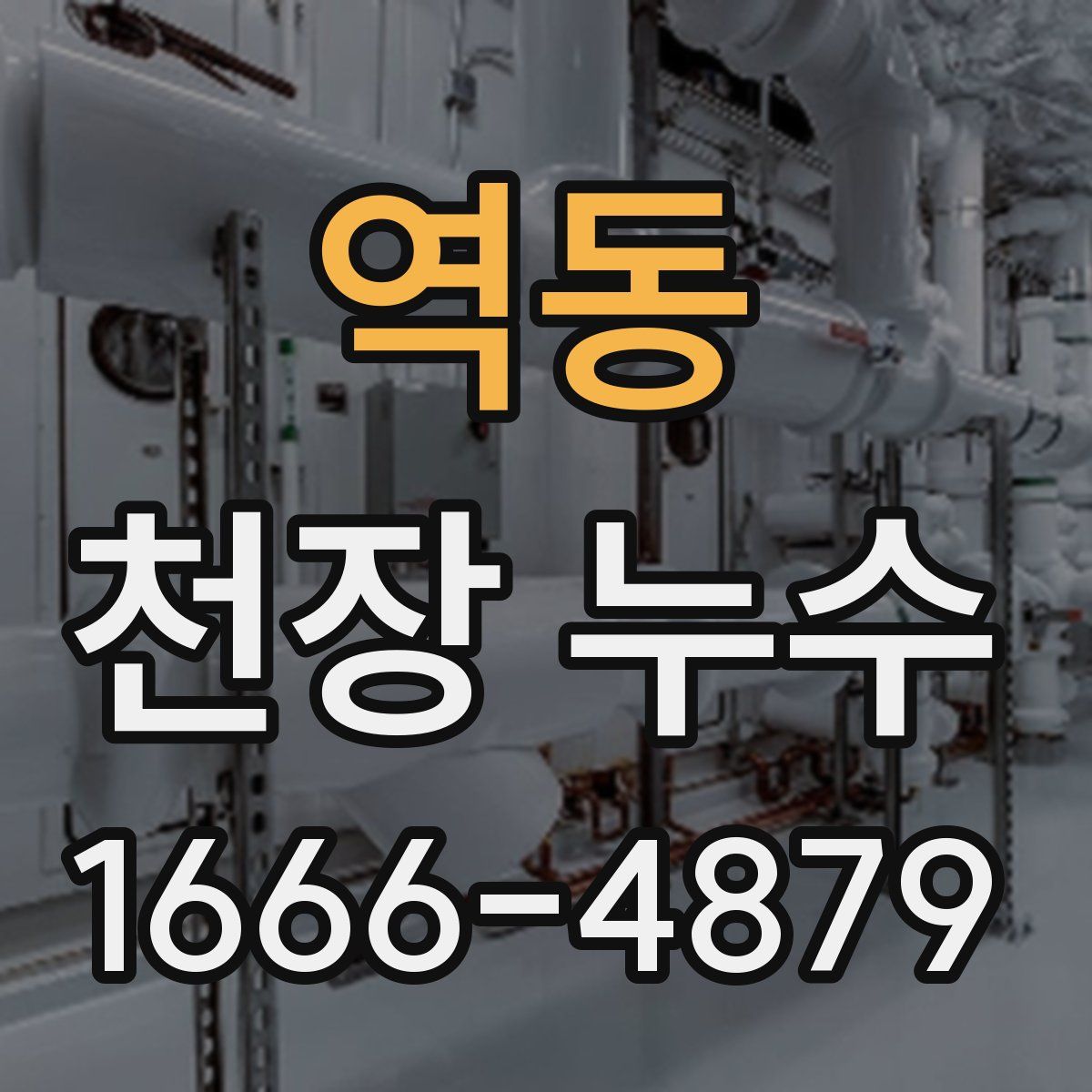 역동 천장 누수
