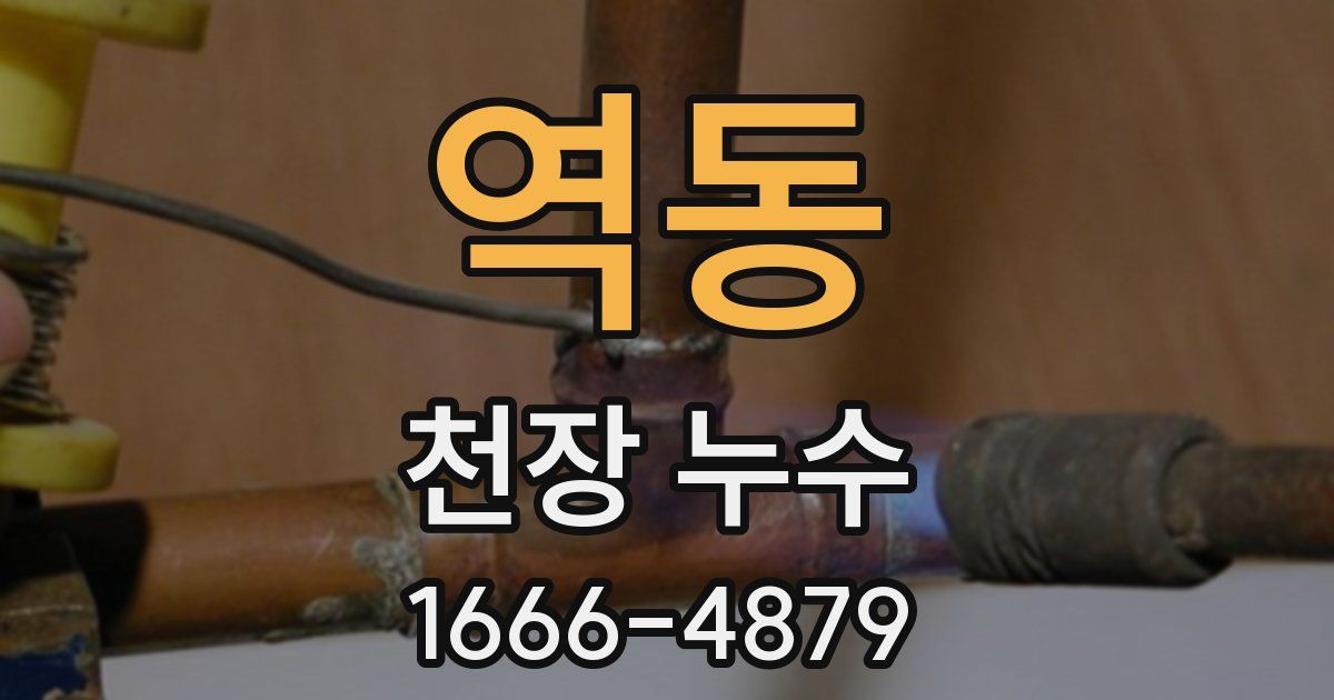 역동 천장 누수