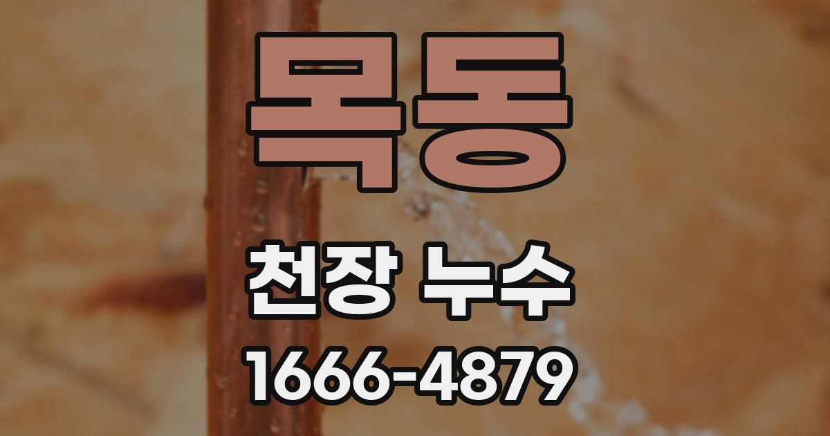 목동 천장 누수