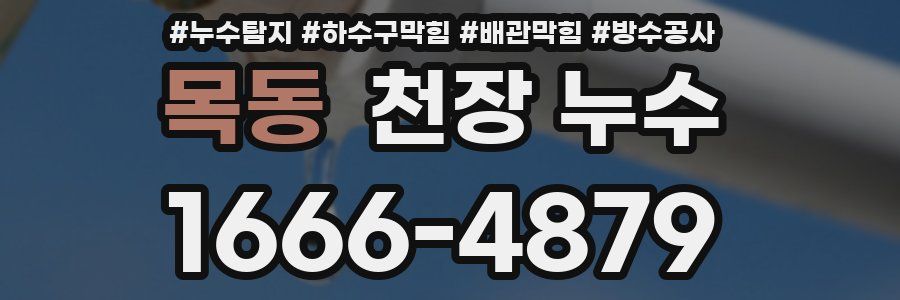 목동 천장 누수