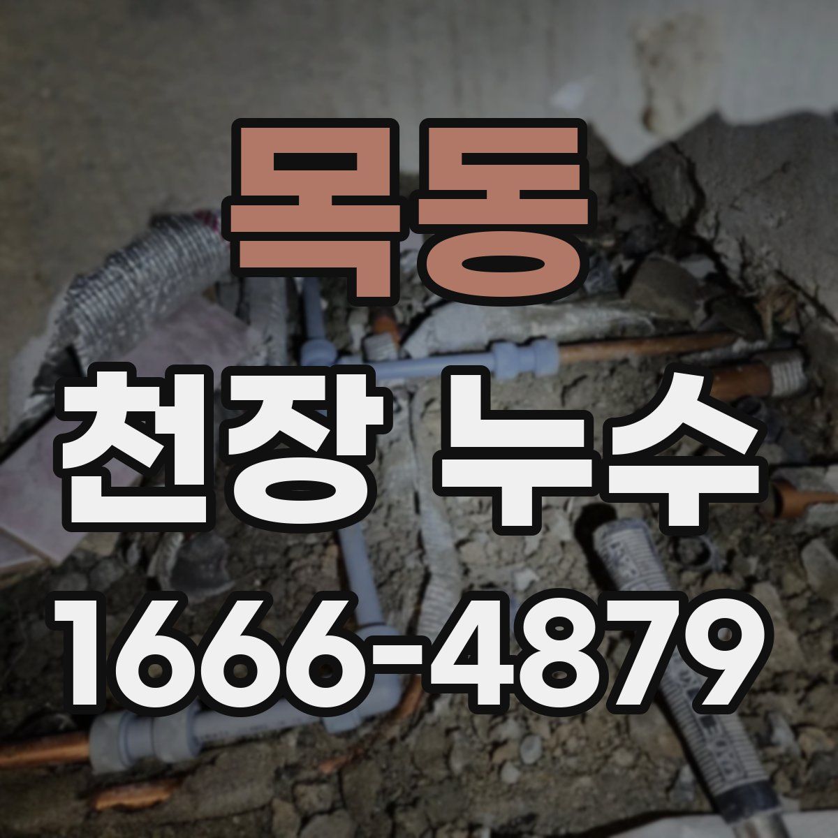 목동 천장 누수