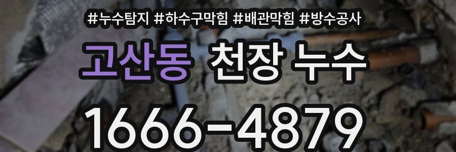고산동 천장 누수