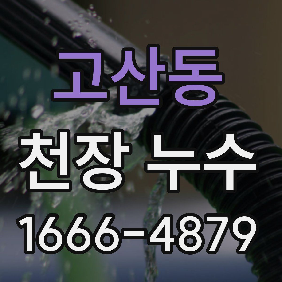 고산동 천장 누수
