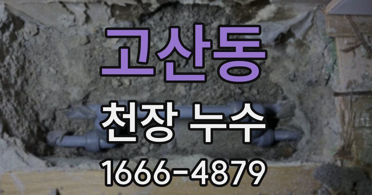 고산동 천장 누수