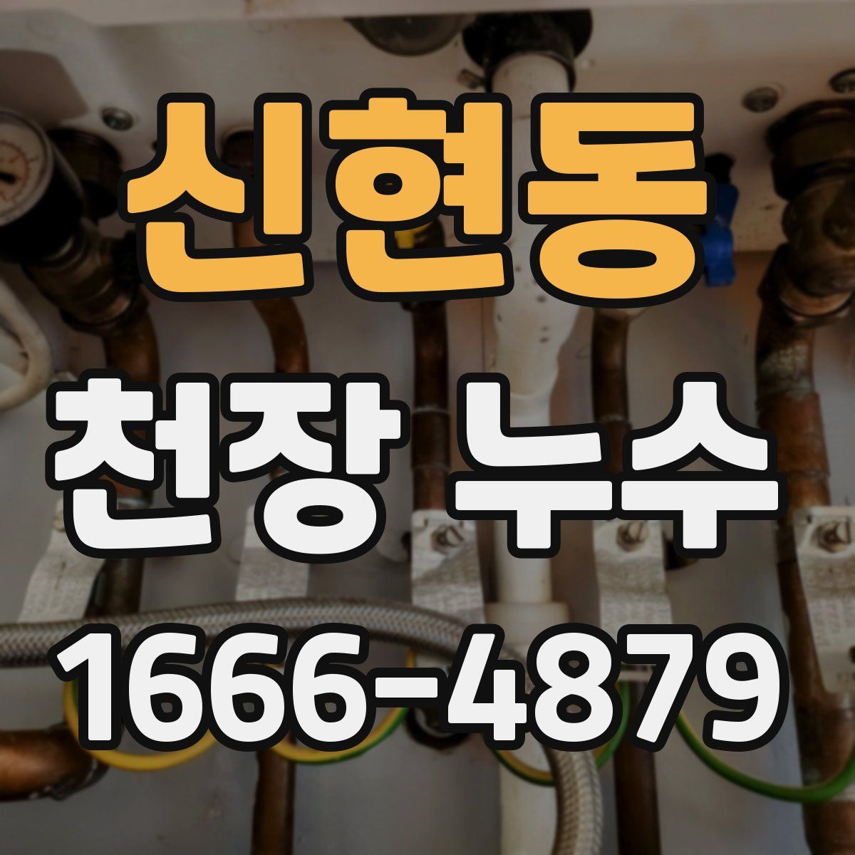 신현동 천장 누수