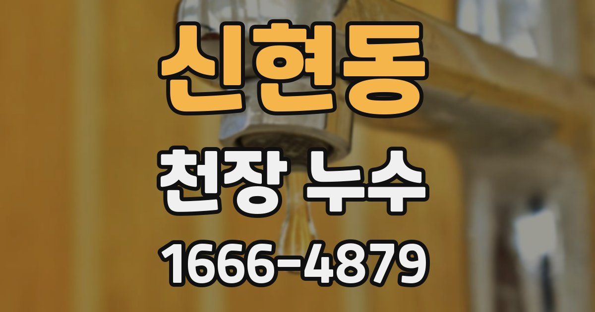 신현동 천장 누수