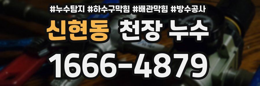 신현동 천장 누수