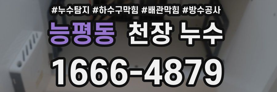 능평동 천장 누수