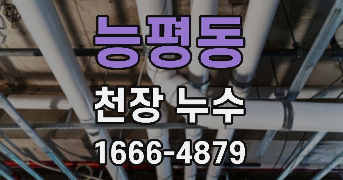 능평동 천장 누수