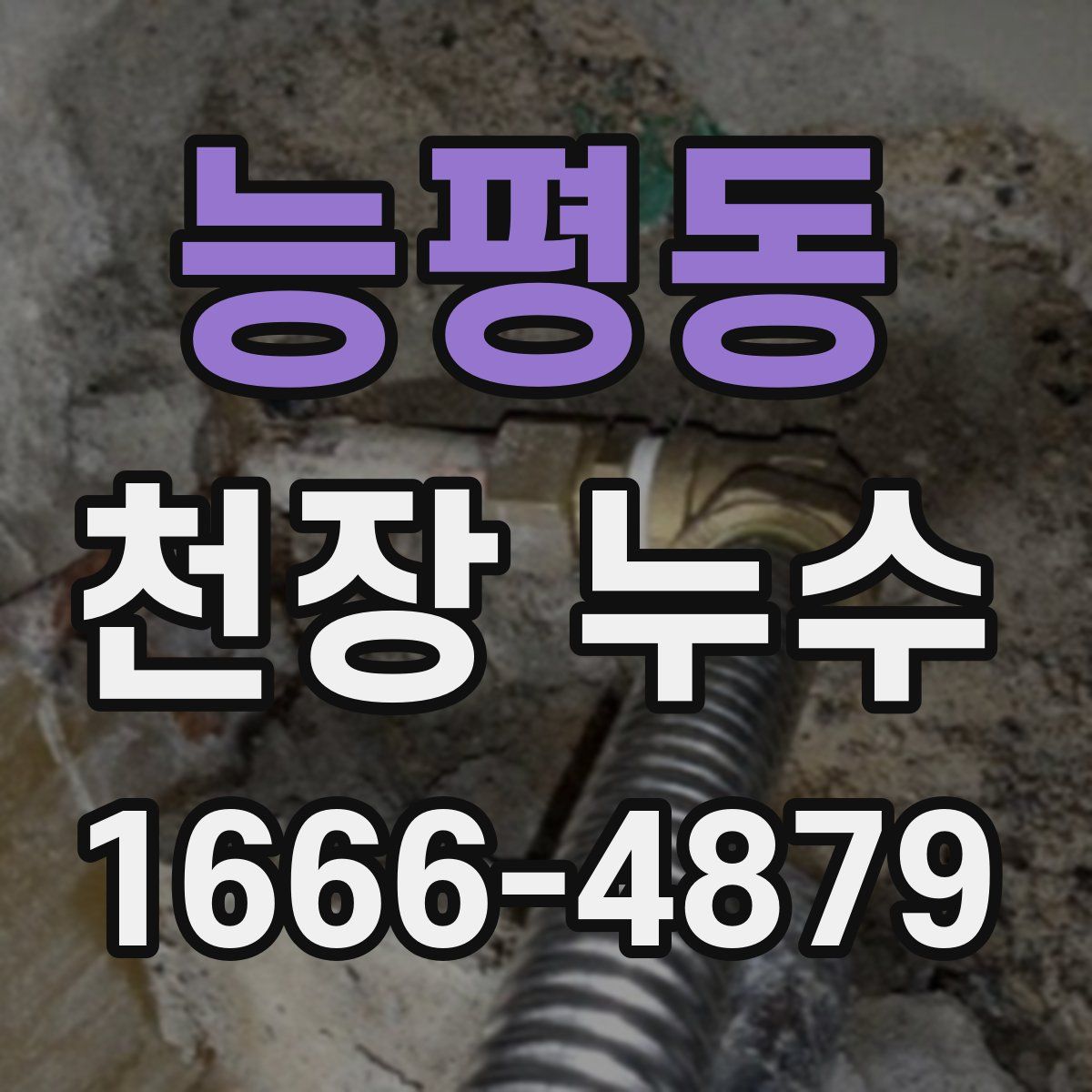 능평동 천장 누수