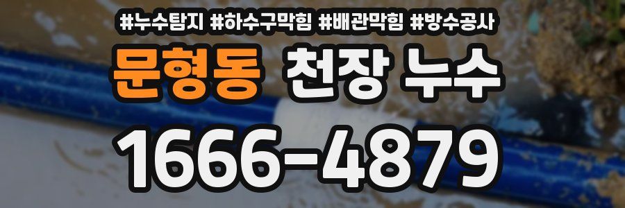 문형동 천장 누수