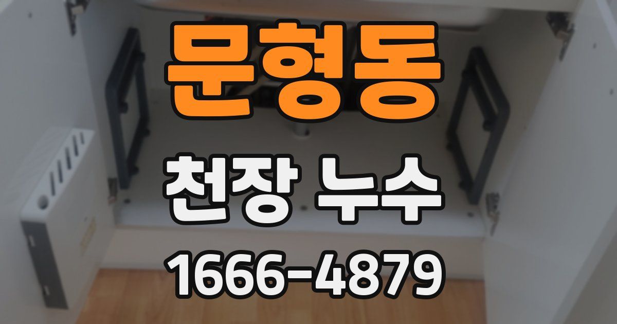 문형동 천장 누수