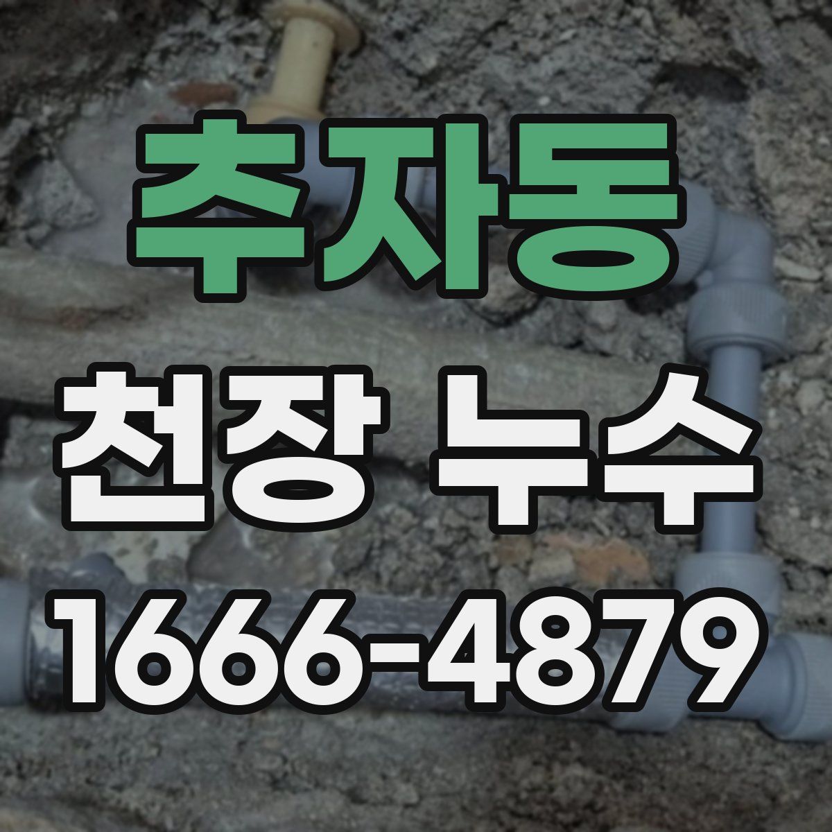 추자동 천장 누수