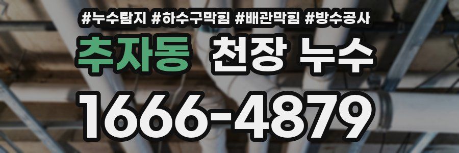 추자동 천장 누수