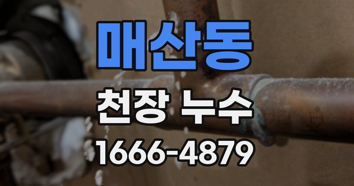 매산동 천장 누수
