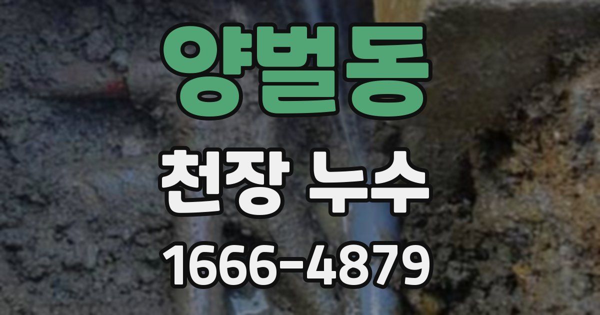 양벌동 천장 누수