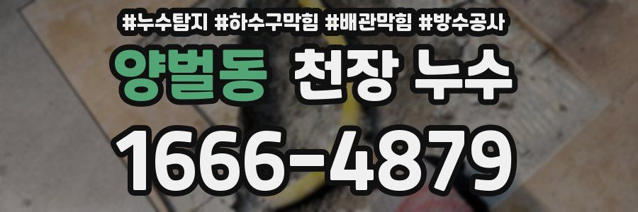 양벌동 천장 누수
