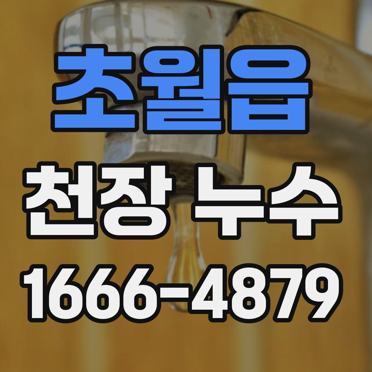 초월읍 천장 누수