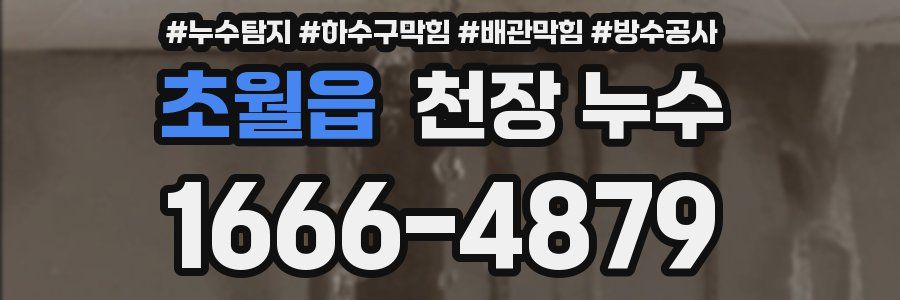 초월읍 천장 누수
