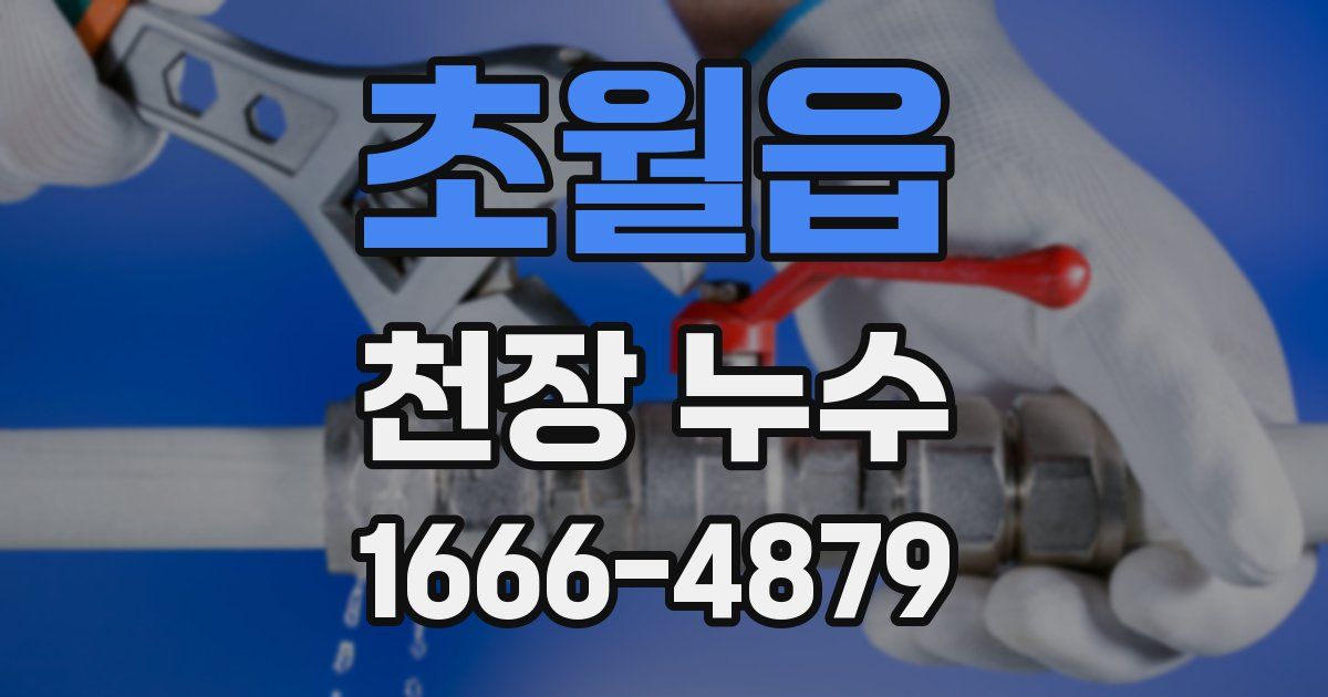 초월읍 천장 누수