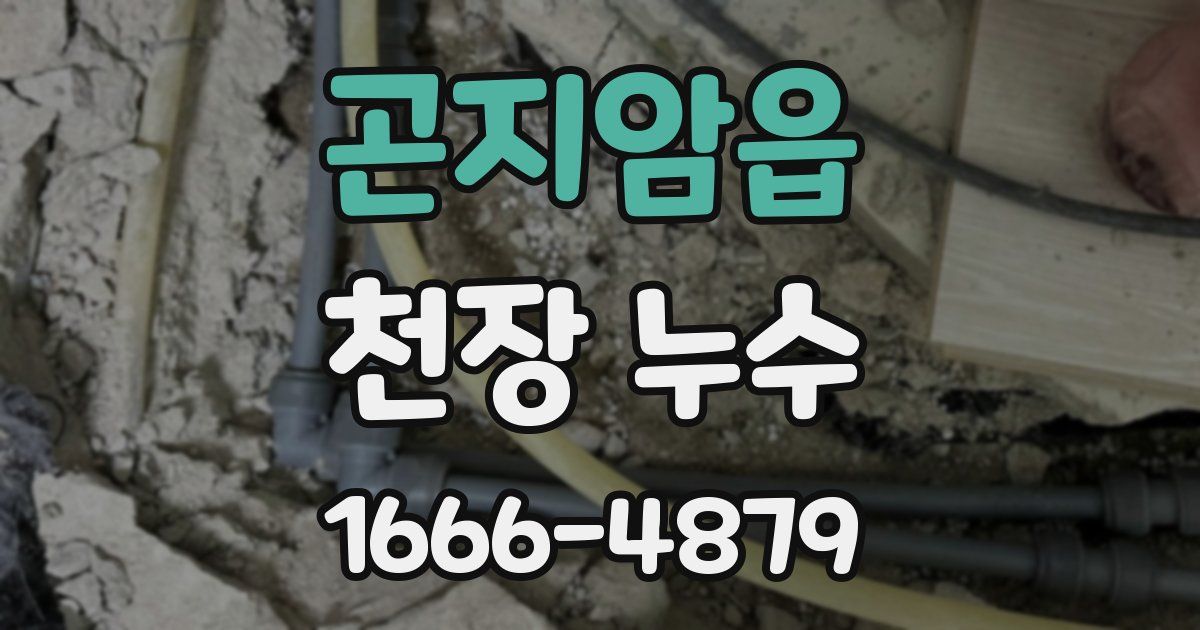 곤지암읍 천장 누수