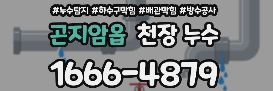 곤지암읍 천장 누수