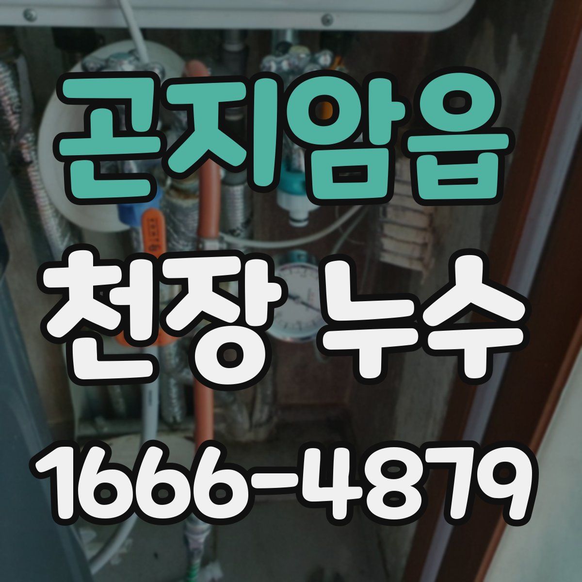 곤지암읍 천장 누수