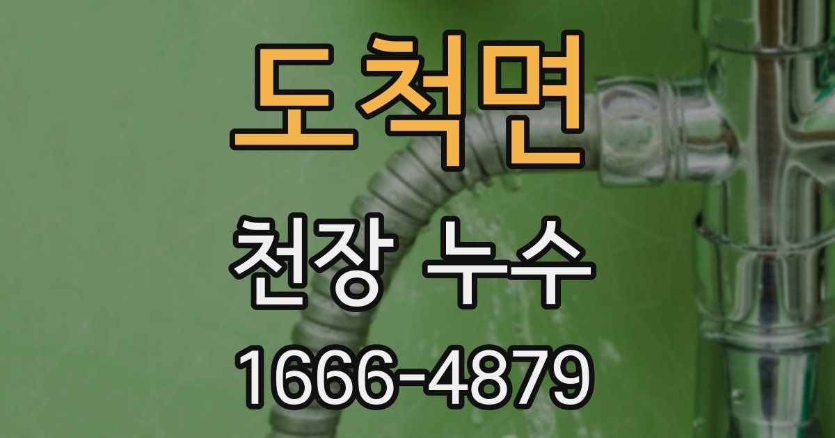 도척면 천장 누수