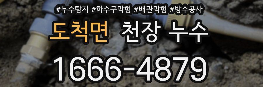 도척면 천장 누수
