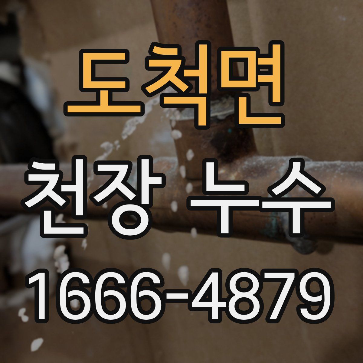 도척면 천장 누수