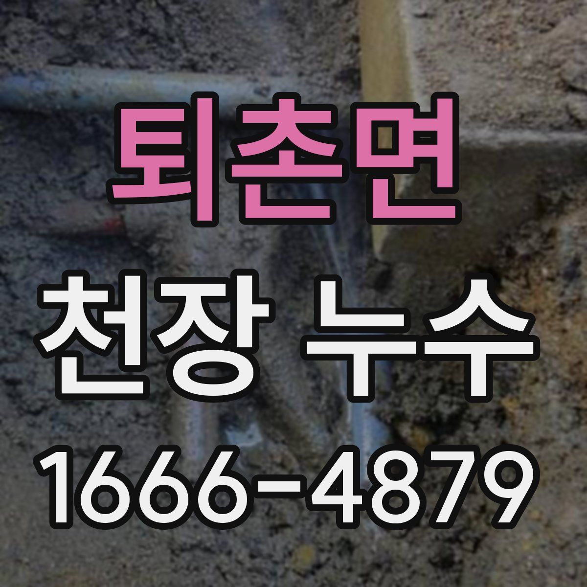 퇴촌면 천장 누수