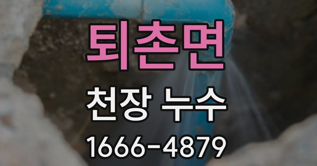퇴촌면 천장 누수