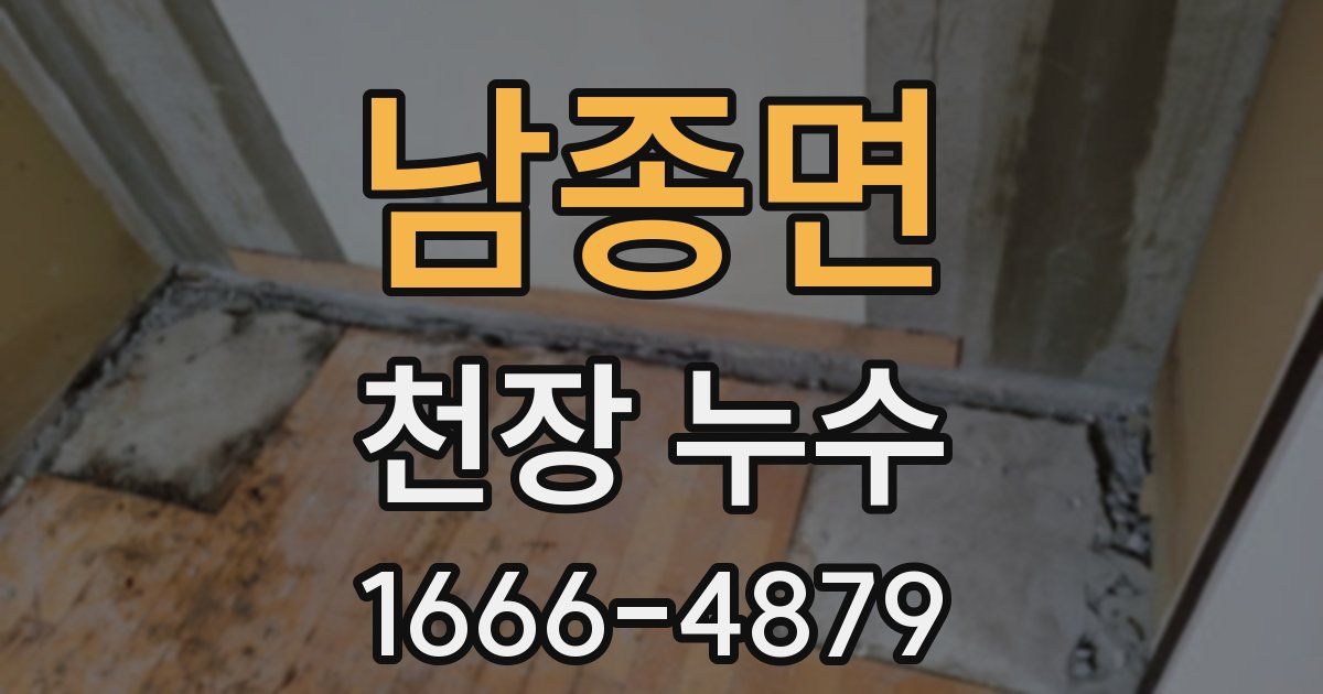 남종면 천장 누수