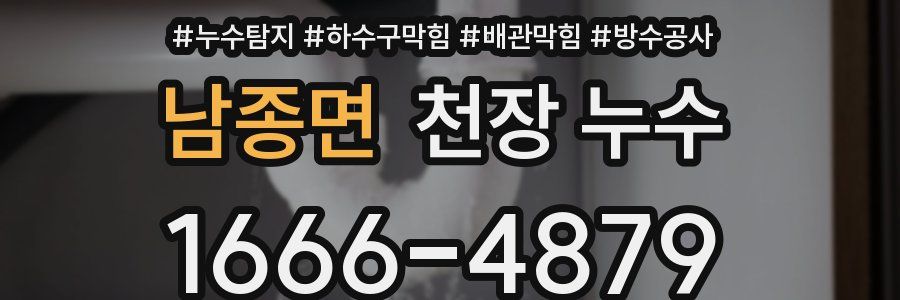 남종면 천장 누수
