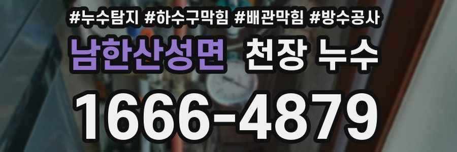 남한산성면 천장 누수