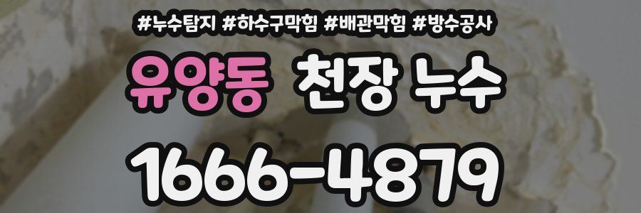 유양동 천장 누수