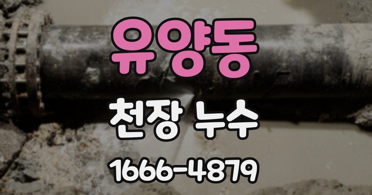 유양동 천장 누수